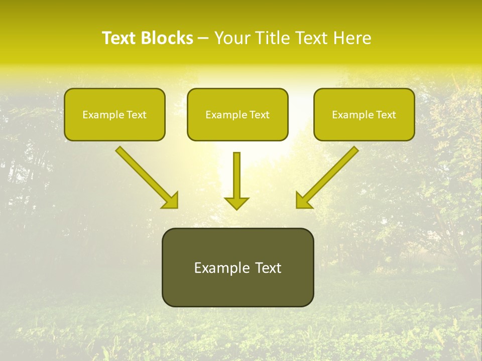 Sunrise Park Spring PowerPoint Template