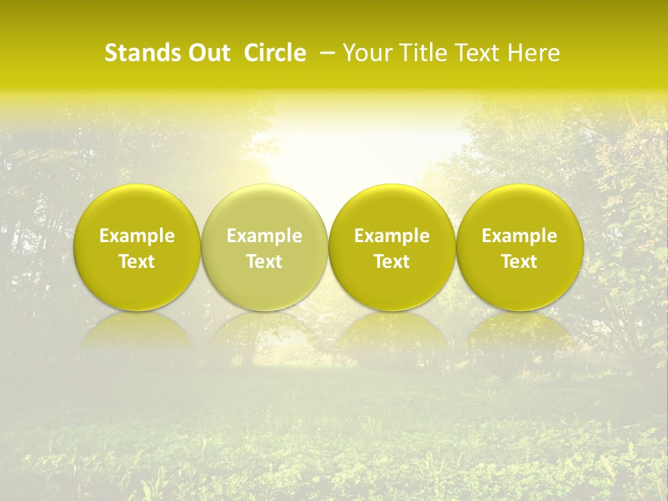 Sunrise Park Spring PowerPoint Template