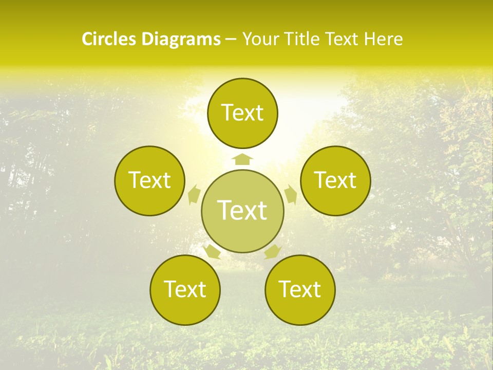 Sunrise Park Spring PowerPoint Template