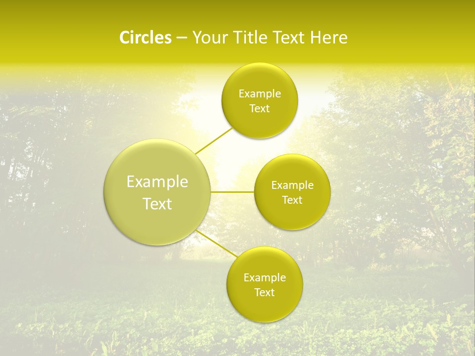 Sunrise Park Spring PowerPoint Template