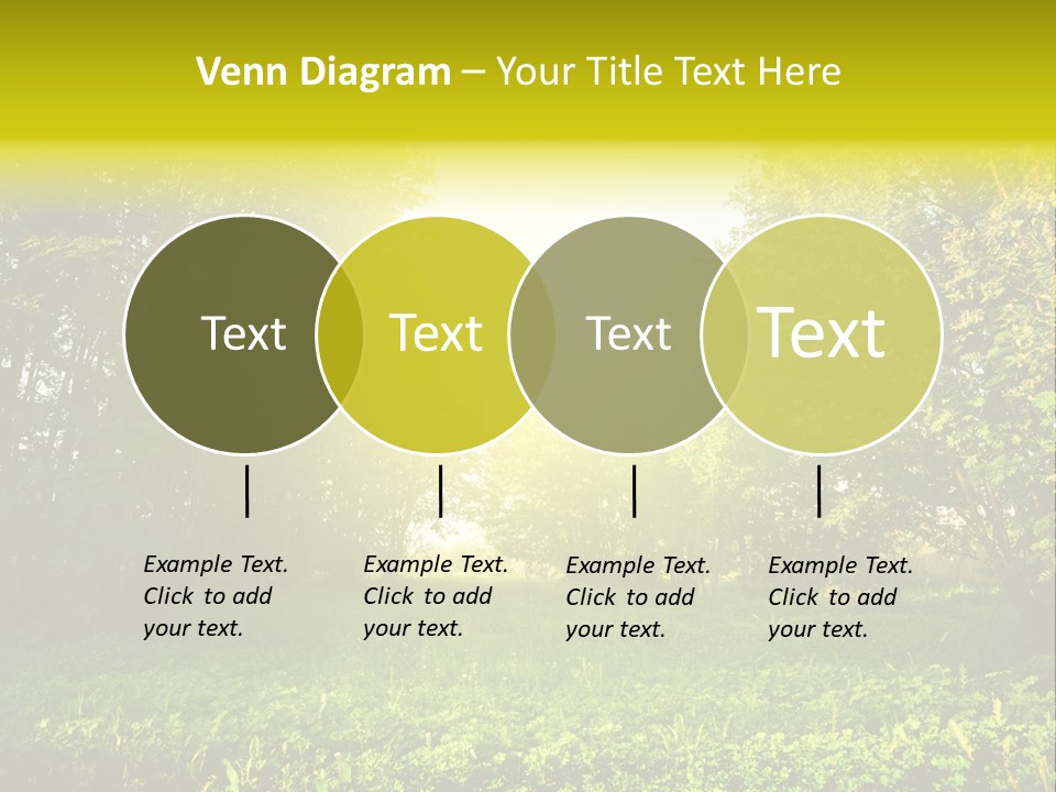 Sunrise Park Spring PowerPoint Template