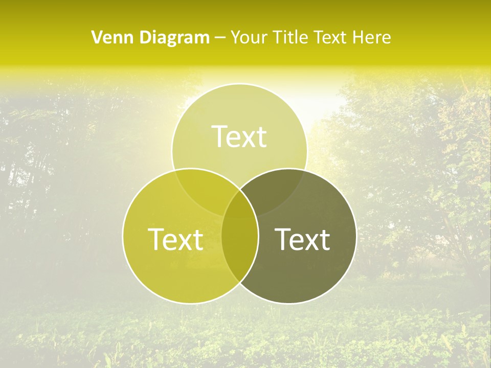 Sunrise Park Spring PowerPoint Template