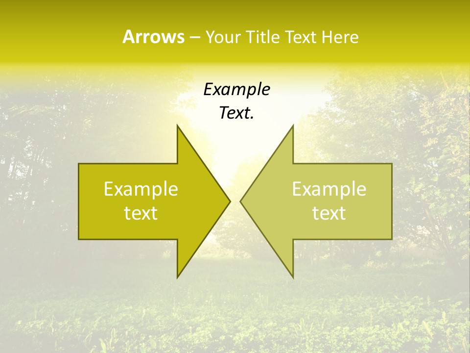 Sunrise Park Spring PowerPoint Template