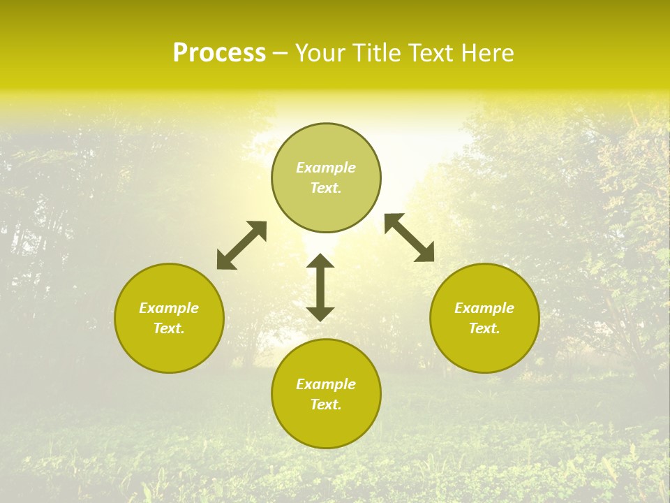 Sunrise Park Spring PowerPoint Template