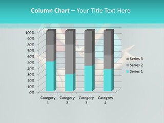 Ladies Background PowerPoint Template