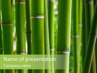 Tropical Culture Ornamental PowerPoint Template