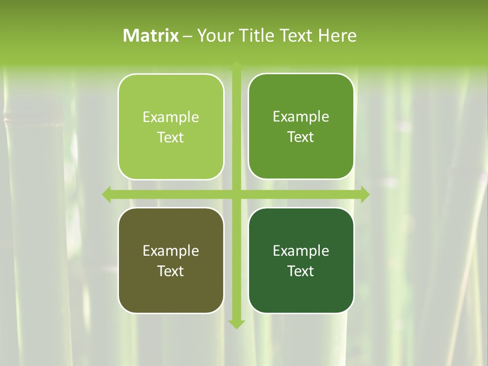 Tropical Culture Ornamental PowerPoint Template