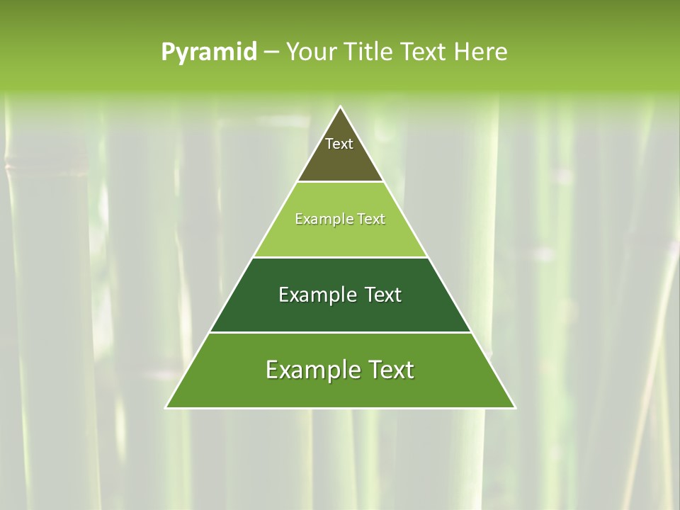 Tropical Culture Ornamental PowerPoint Template