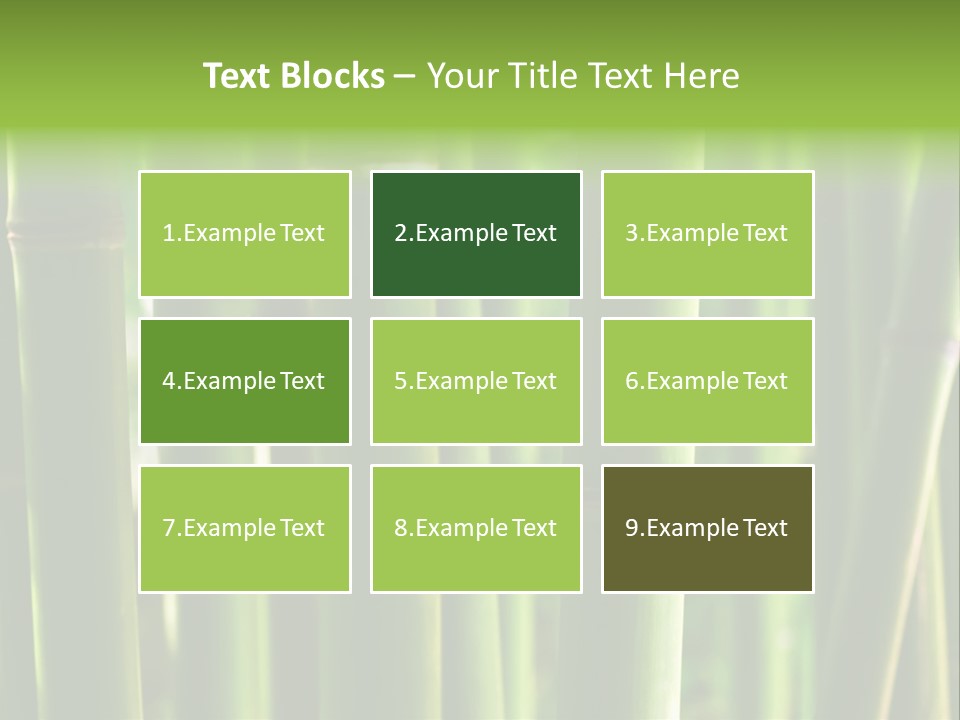 Tropical Culture Ornamental PowerPoint Template