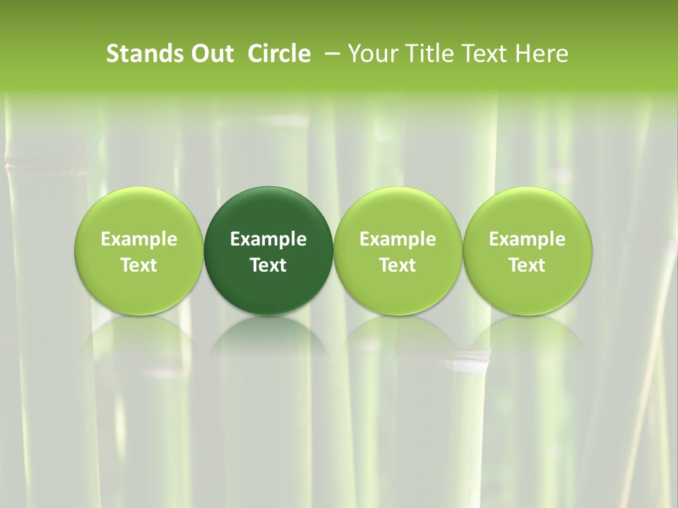 Tropical Culture Ornamental PowerPoint Template