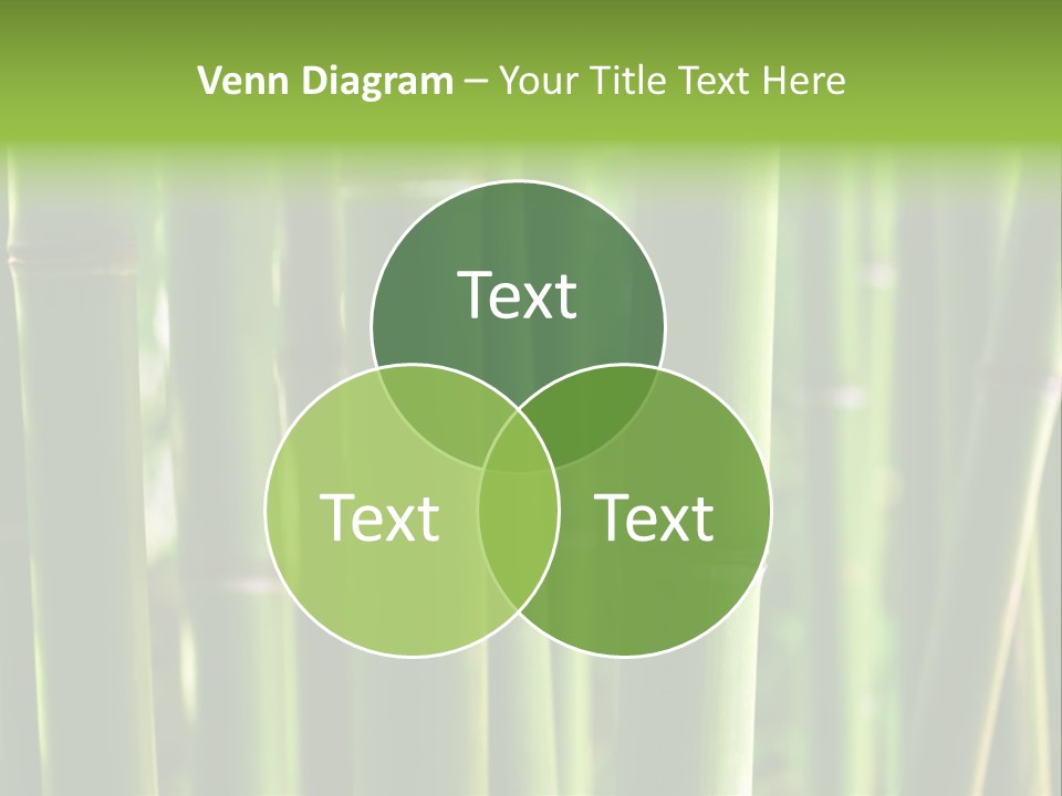 Tropical Culture Ornamental PowerPoint Template