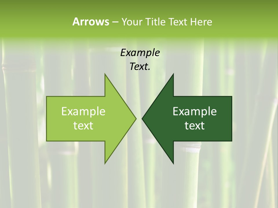 Tropical Culture Ornamental PowerPoint Template