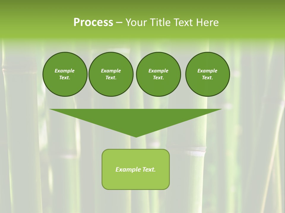 Tropical Culture Ornamental PowerPoint Template