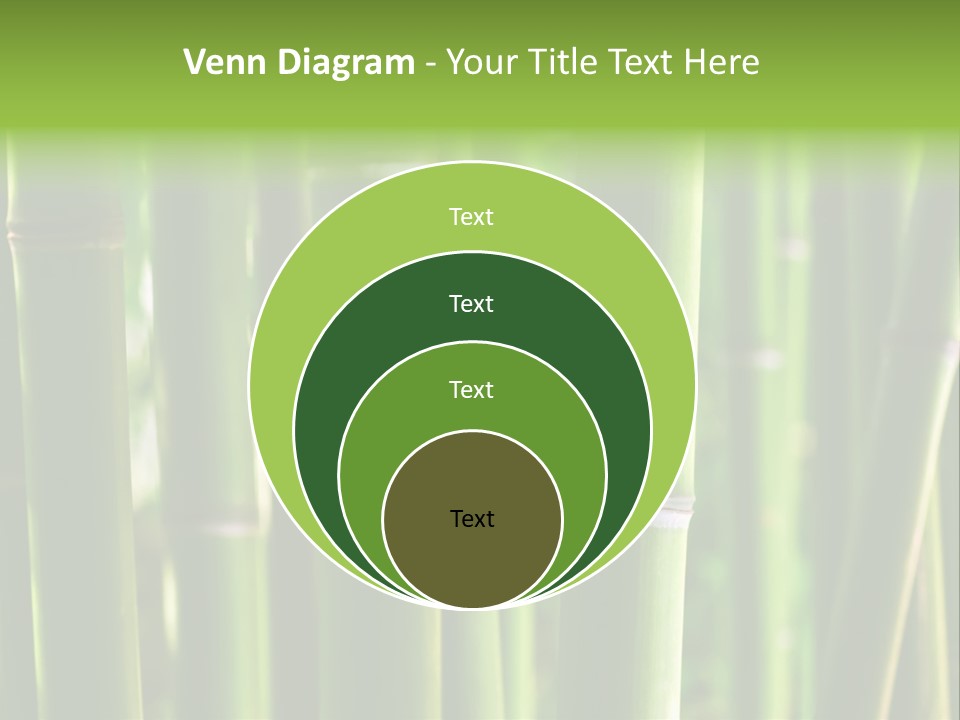 Tropical Culture Ornamental PowerPoint Template