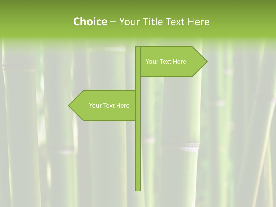 Tropical Culture Ornamental PowerPoint Template