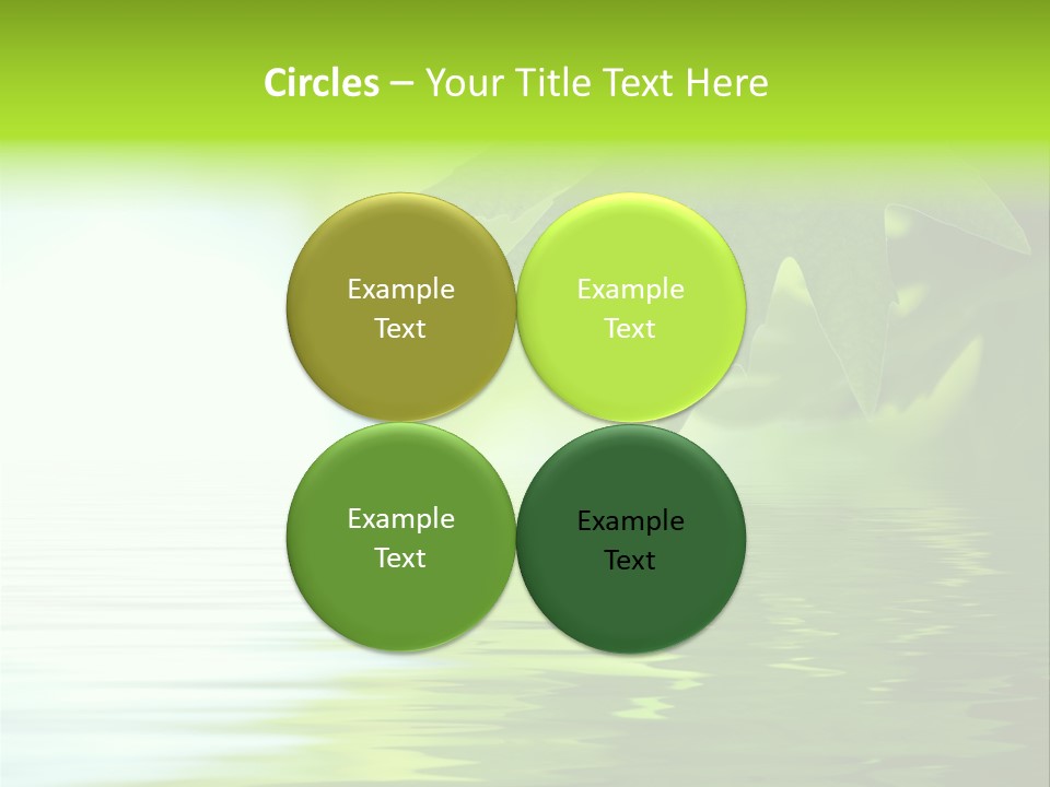 Branches Color Outdoors PowerPoint Template