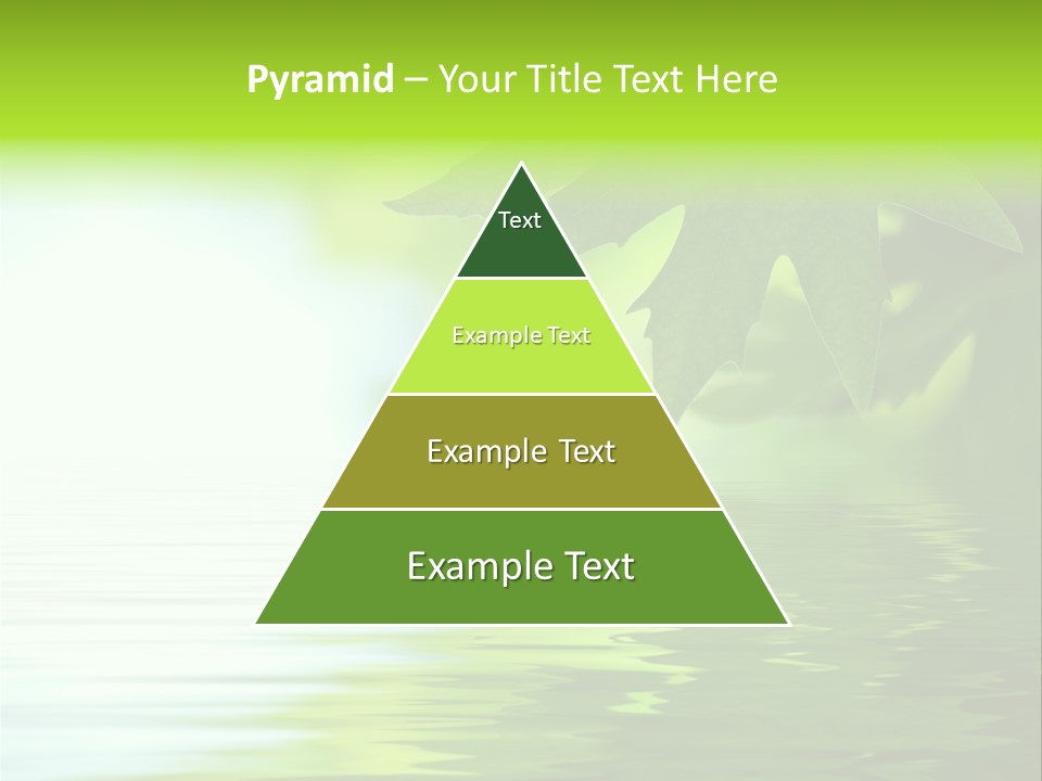 Branches Color Outdoors PowerPoint Template