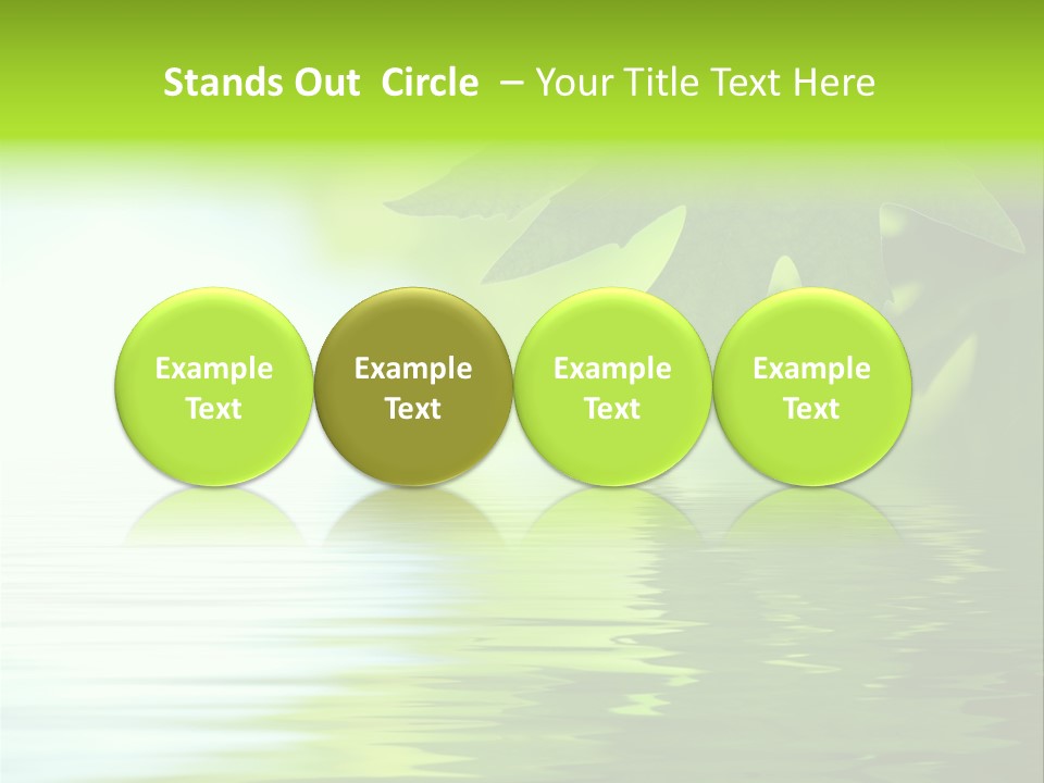 Branches Color Outdoors PowerPoint Template