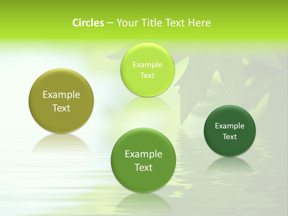 Branches Color Outdoors PowerPoint Template