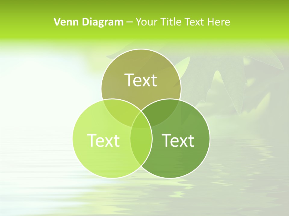 Branches Color Outdoors PowerPoint Template