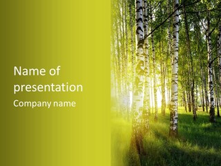 Sunny Tree Wood PowerPoint Template