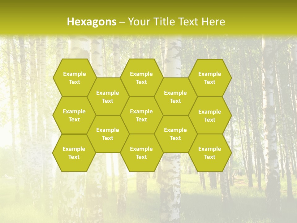 Sunny Tree Wood PowerPoint Template