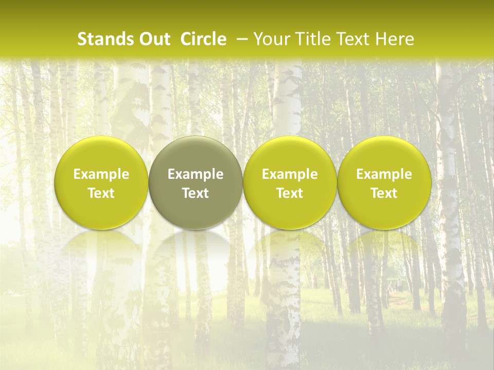Sunny Tree Wood PowerPoint Template