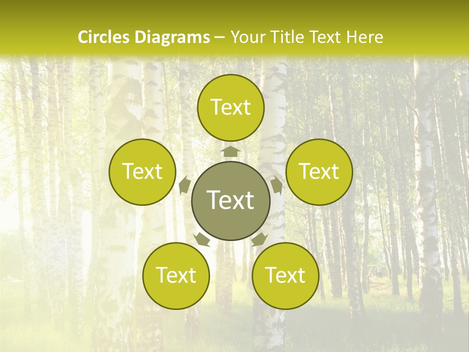 Sunny Tree Wood PowerPoint Template