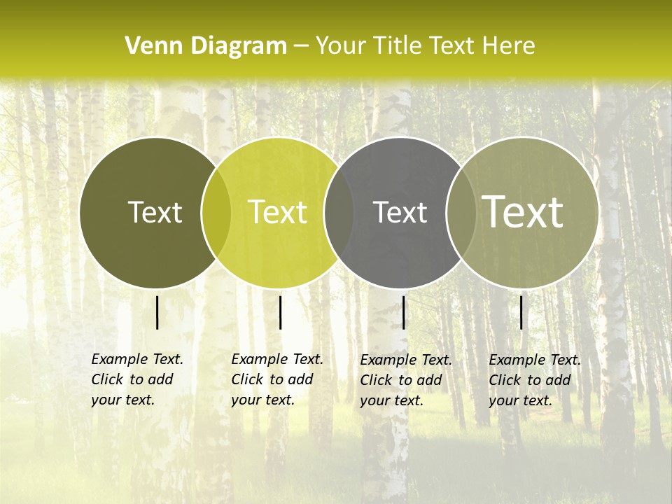 Sunny Tree Wood PowerPoint Template
