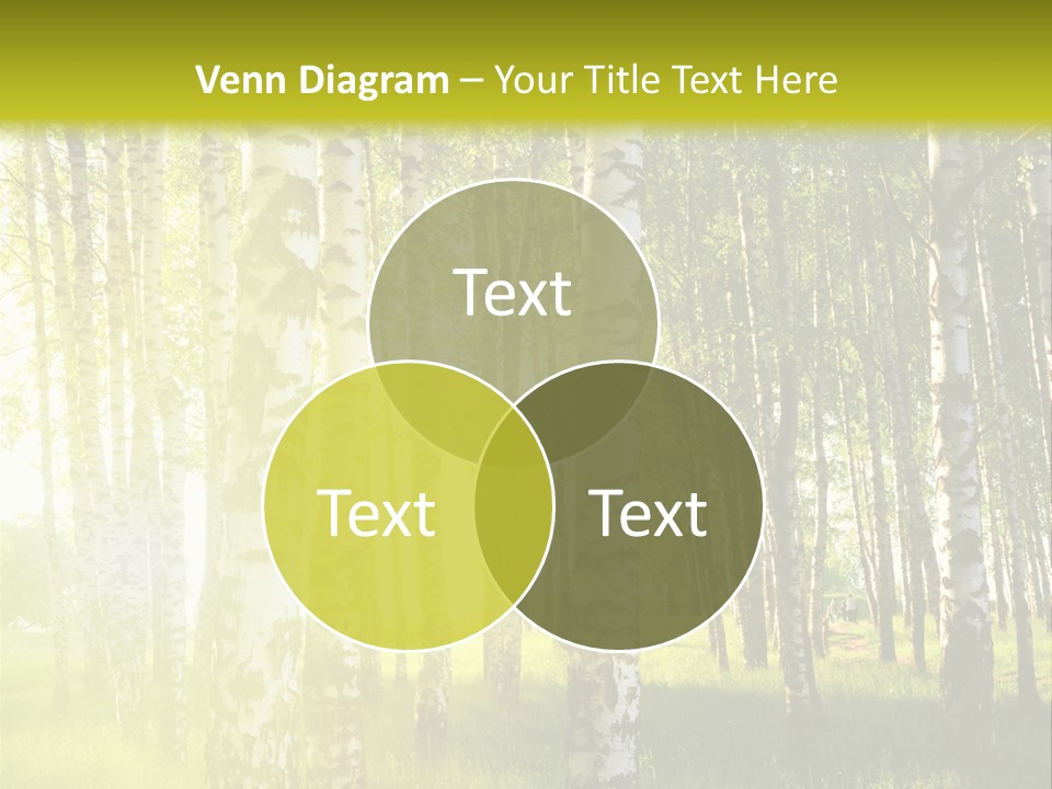 Sunny Tree Wood PowerPoint Template