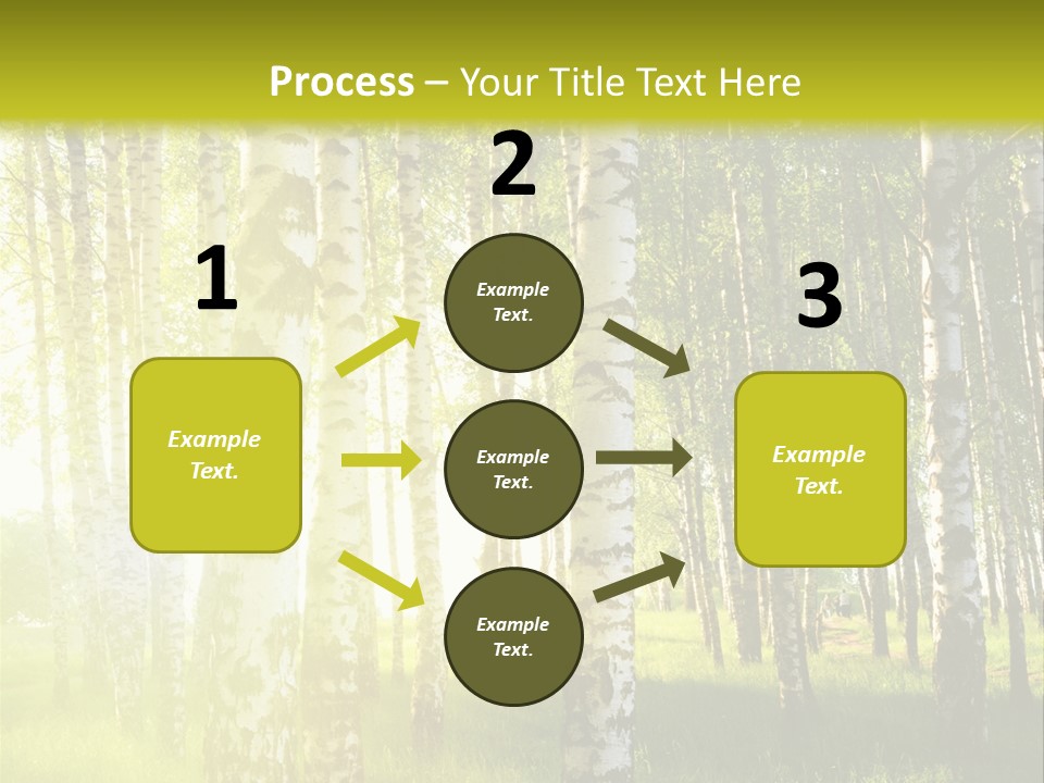 Sunny Tree Wood PowerPoint Template