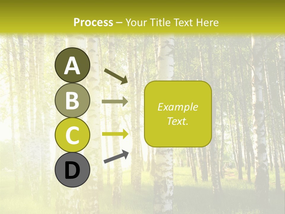 Sunny Tree Wood PowerPoint Template
