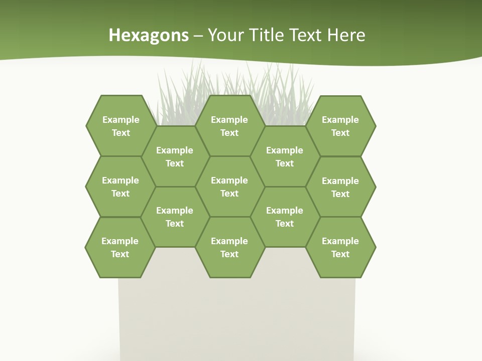 Empty Isolated Ecologic PowerPoint Template