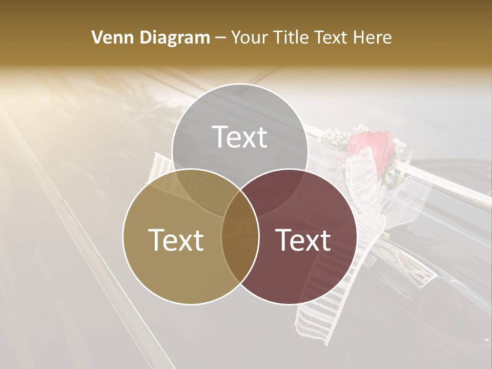 Rose Evening Door PowerPoint Template