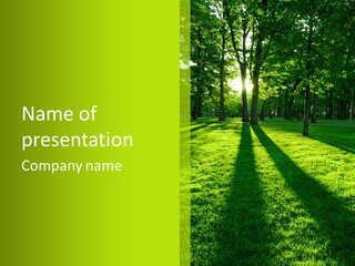 Low Backlit Rays PowerPoint Template