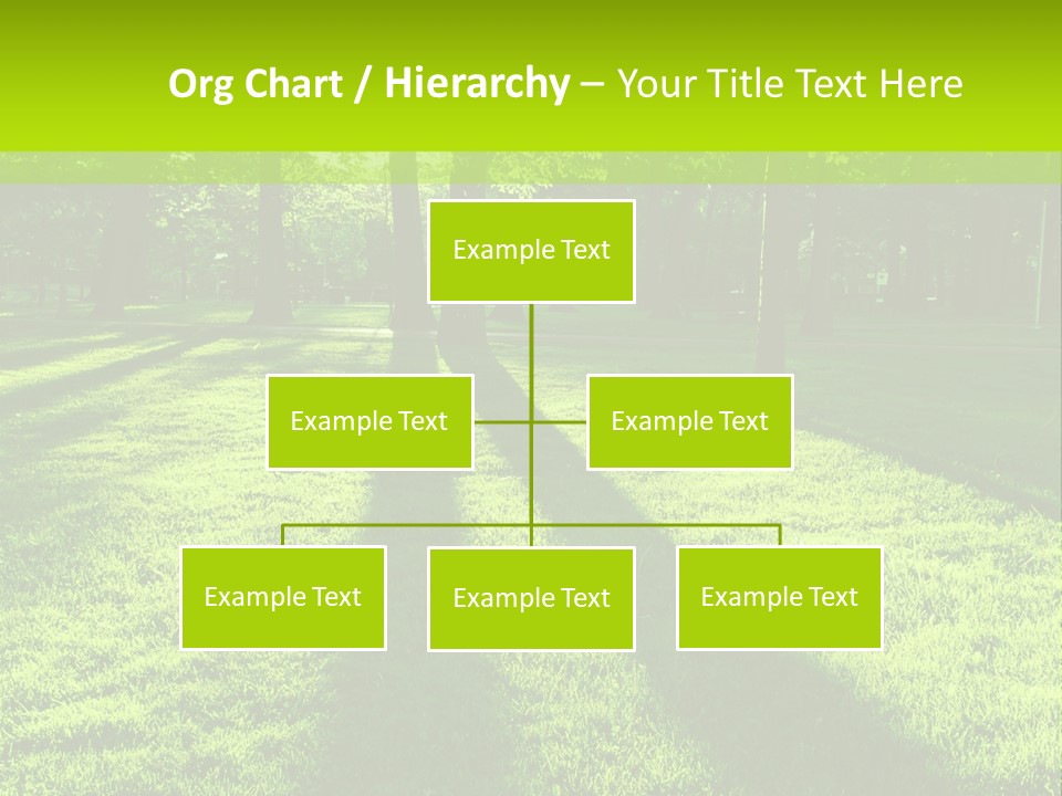 Low Backlit Rays PowerPoint Template