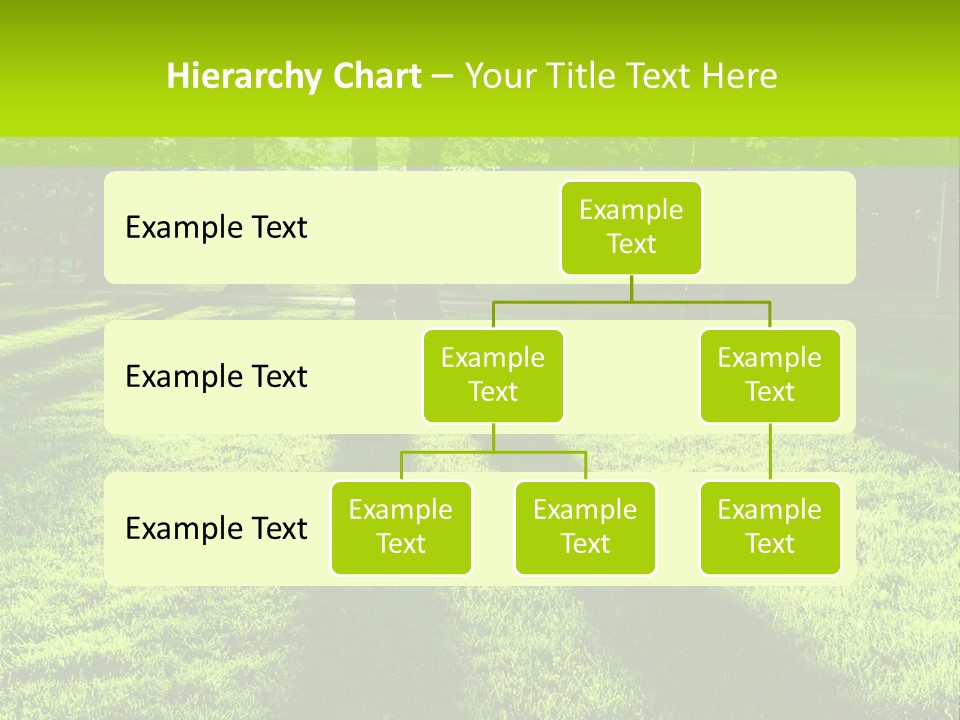 Low Backlit Rays PowerPoint Template