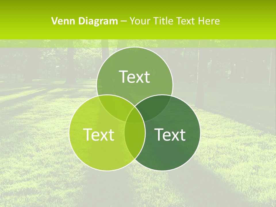 Low Backlit Rays PowerPoint Template