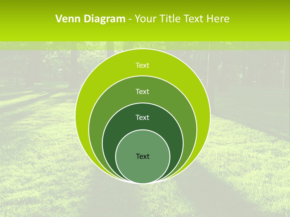 Low Backlit Rays PowerPoint Template