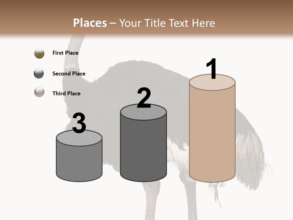 Nature Wild Shot PowerPoint Template