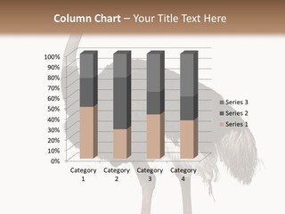 Nature Wild Shot PowerPoint Template