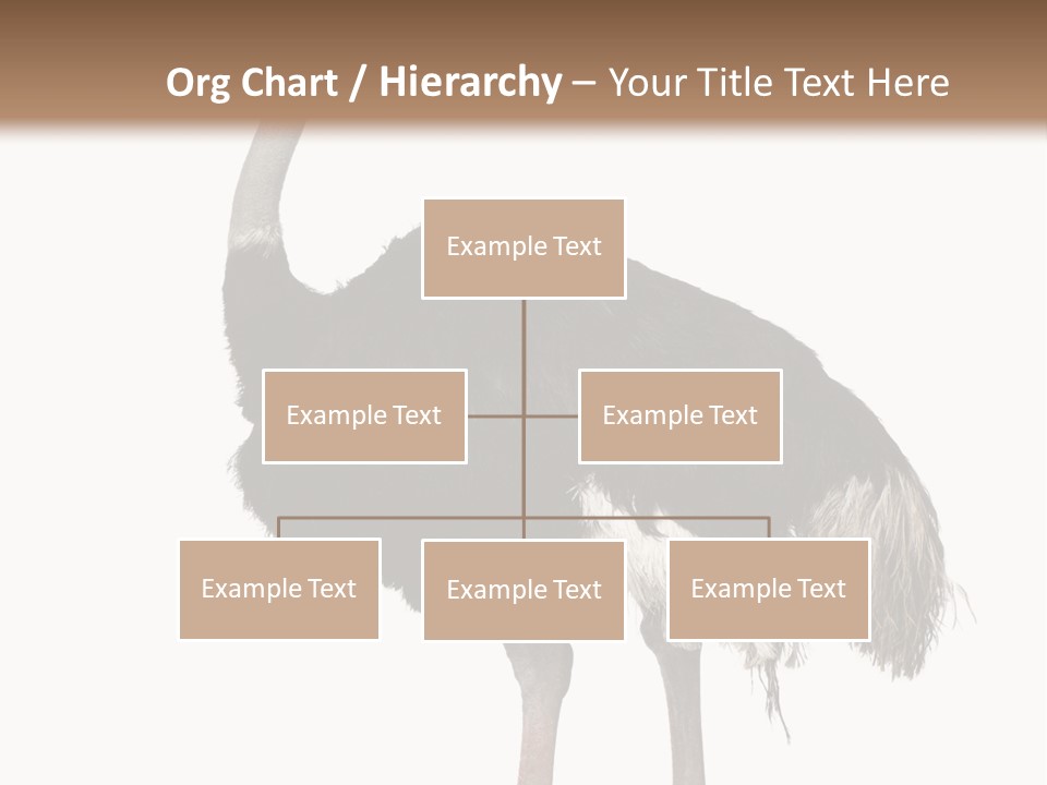 Nature Wild Shot PowerPoint Template