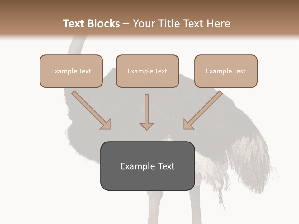 Nature Wild Shot PowerPoint Template