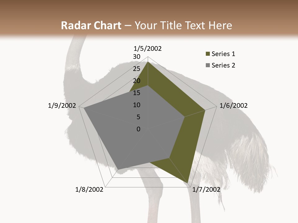 Nature Wild Shot PowerPoint Template