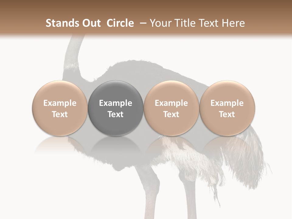 Nature Wild Shot PowerPoint Template