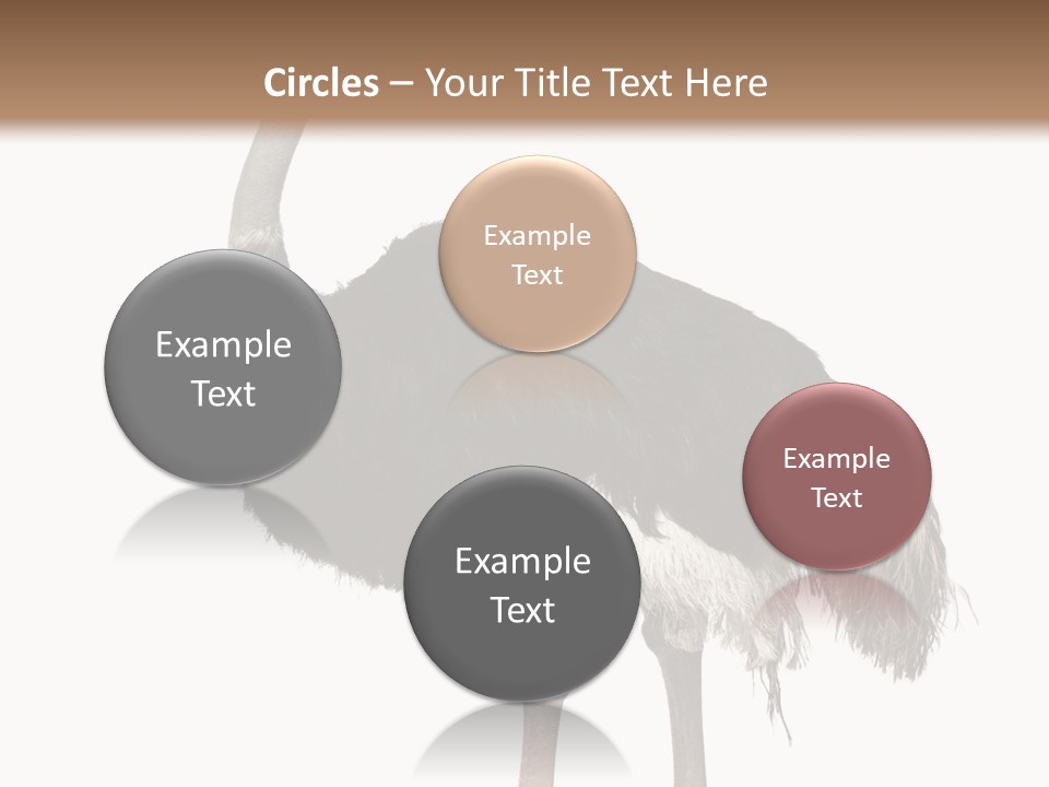 Nature Wild Shot PowerPoint Template