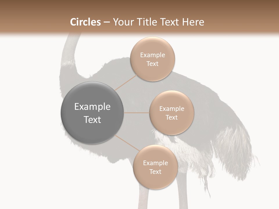 Nature Wild Shot PowerPoint Template