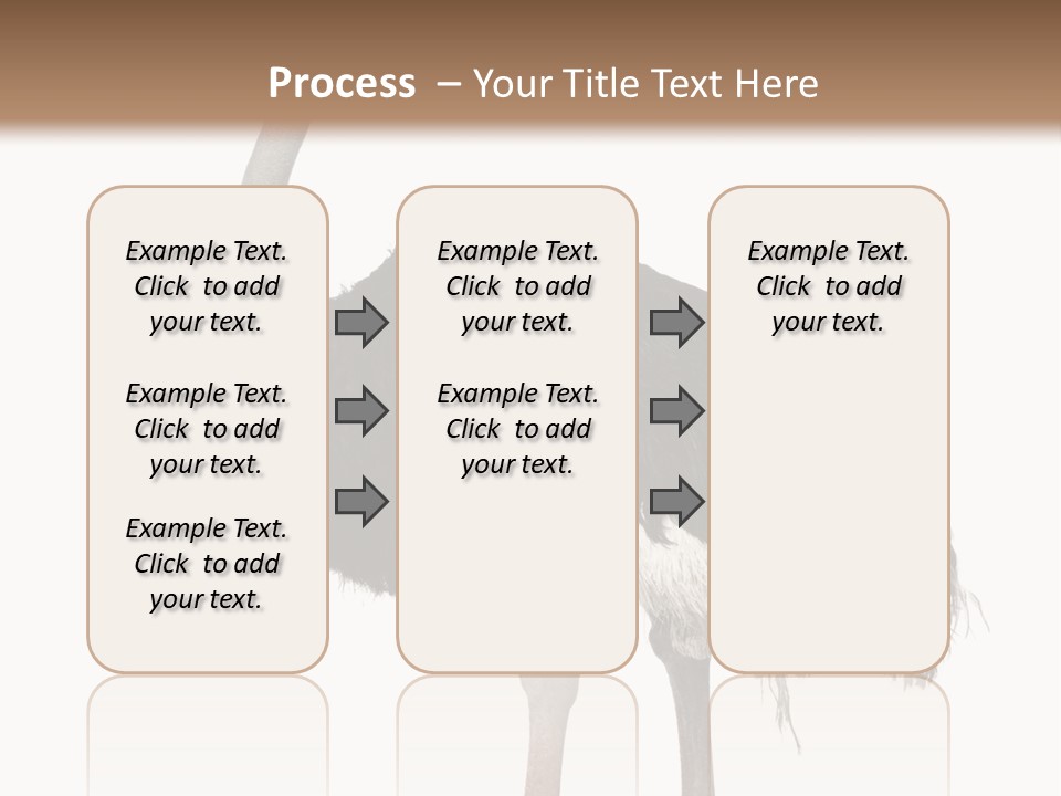 Nature Wild Shot PowerPoint Template