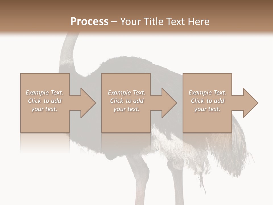 Nature Wild Shot PowerPoint Template