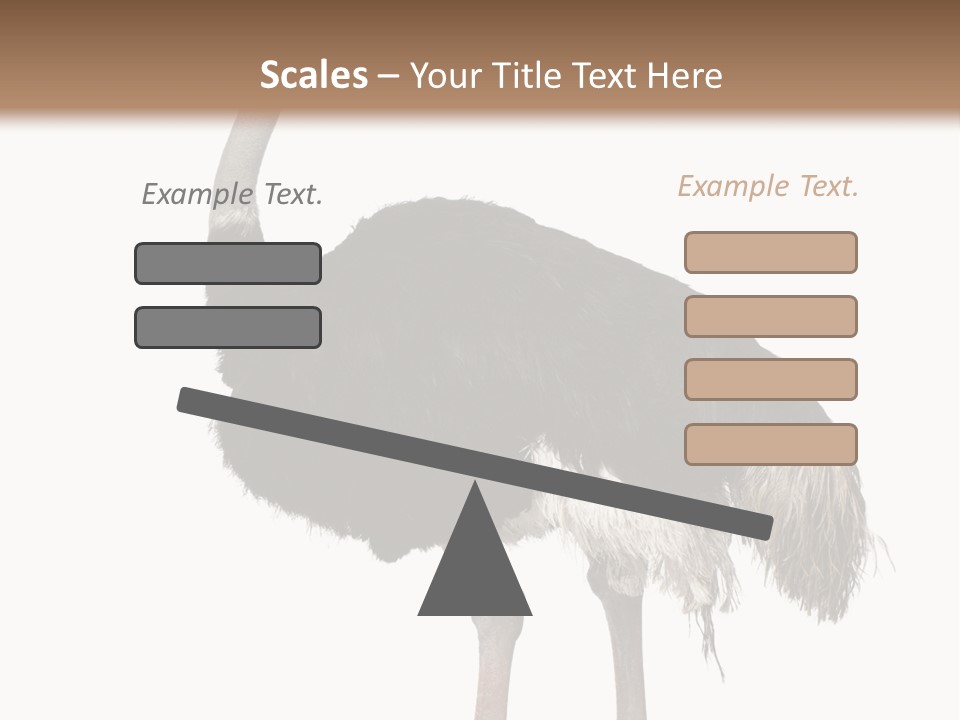 Nature Wild Shot PowerPoint Template